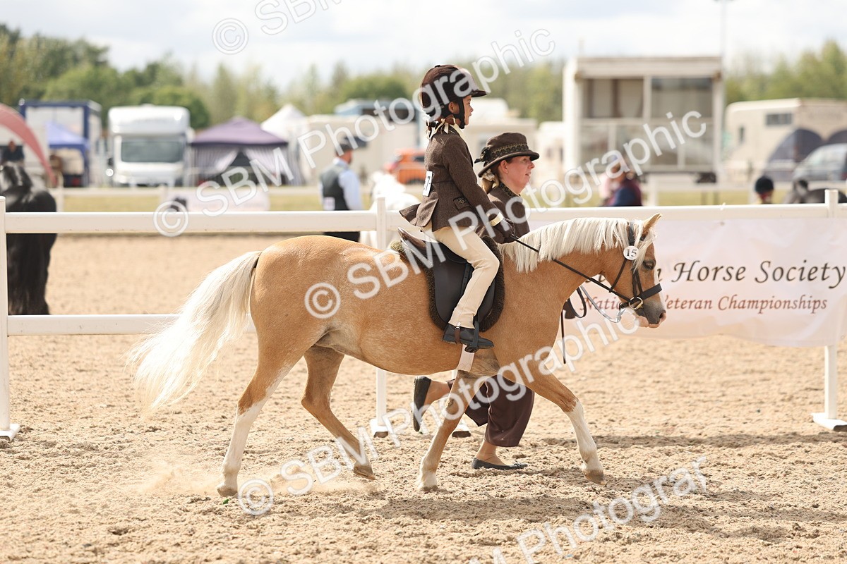 SBM_15762 - Class 309 - Lead Rein Pony