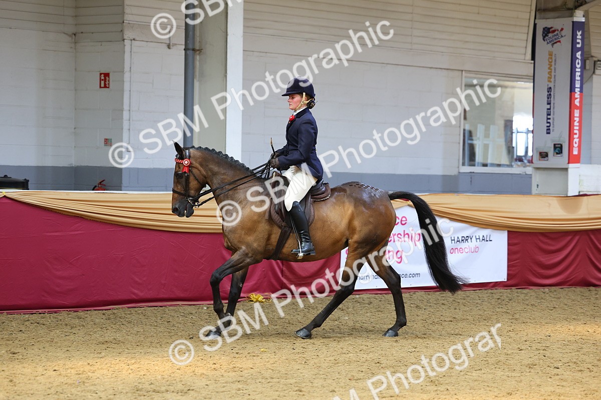 SBM_24111 - Class 905 - Supreme Final - Ridden Veteran