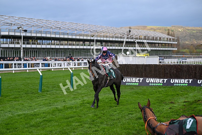 171124-Race 3-Third Time Lucki-3204 - Race 3