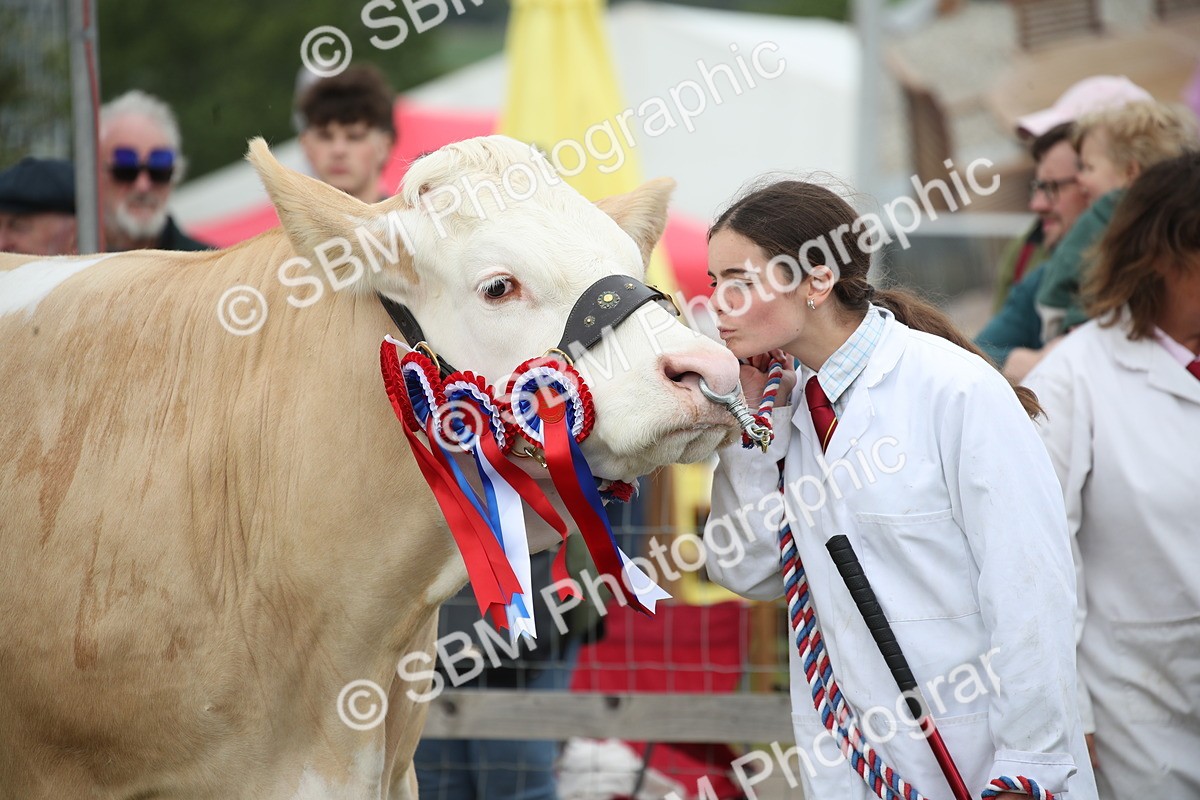 SBM_07857 - Grand Parade