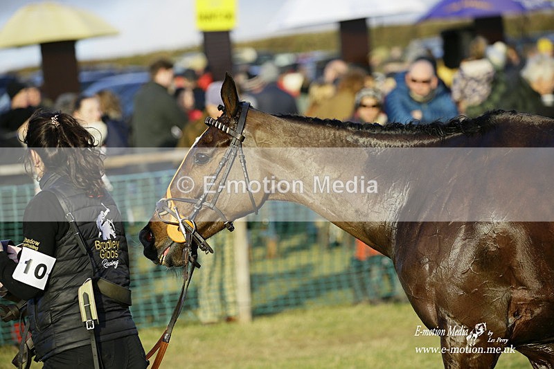 PtP 300122 670 - South Dorset Hunt - Point-to-Point Races 30/01/2022