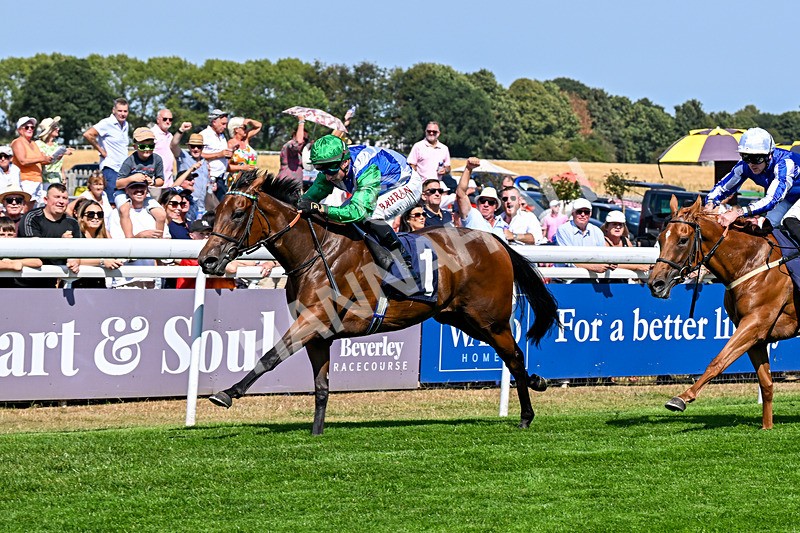 130826-Race 1-Not My Type-7864 - Race 1 14.15pm Racing TV Club Day EBF Fillies' Novice Stakes