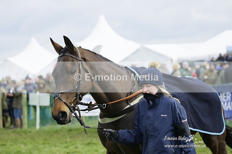 PtP 050322 530 - The Beaufort Races Didmarton 05/03/22