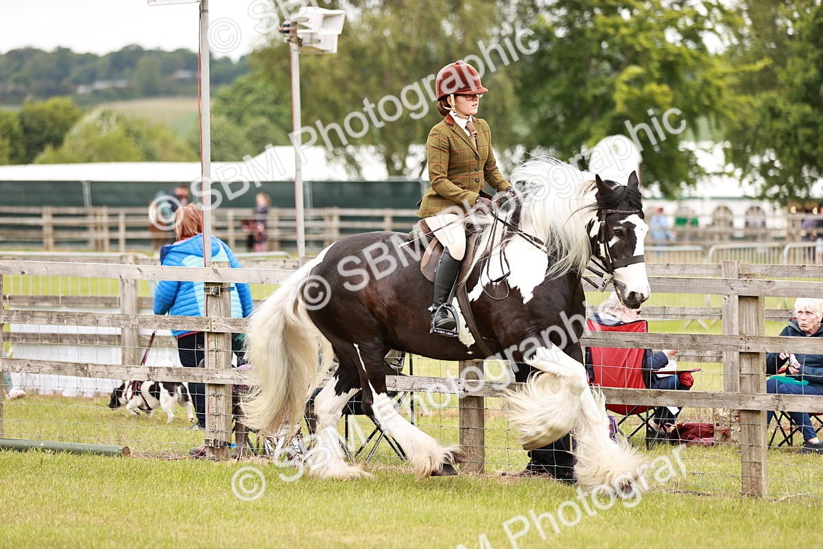 SBM_06119 - Class 39-41 TGCA In Hand and Ridden
