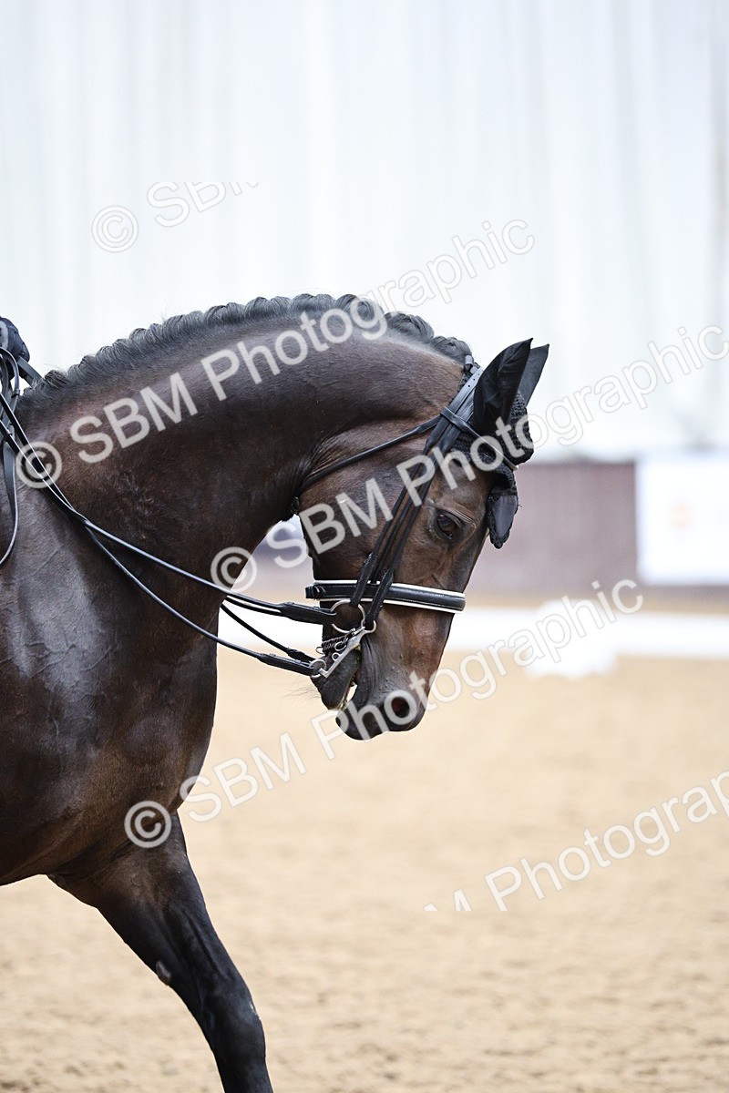 SBM_002304 - Class 10 - Medium 5