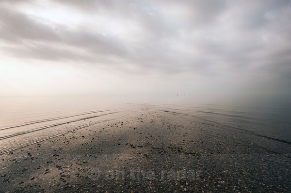  - Beachscapes