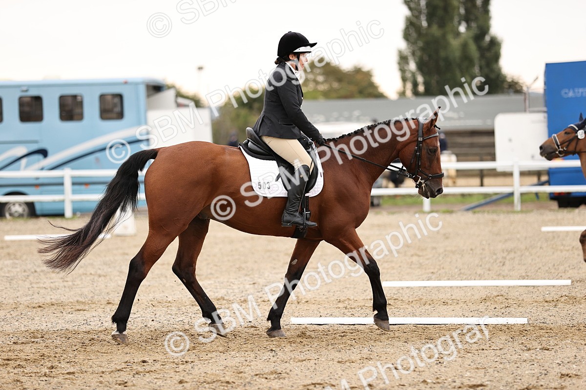 SBM_000447 - Prelim 3