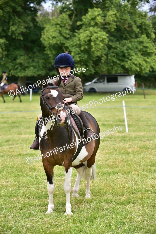 20260614-2716 - Class 13 - Pony Club Pony