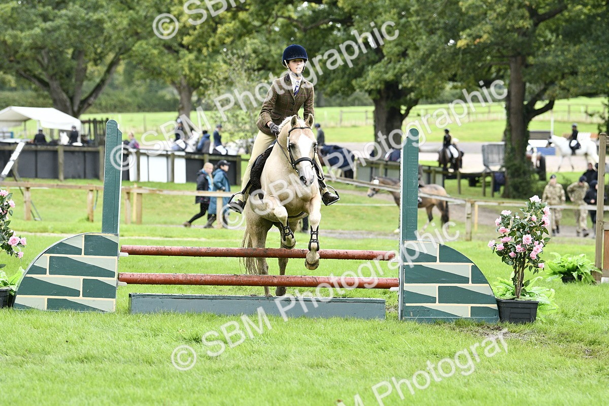 SBM_45600 - S33 - Working Hunter Pony