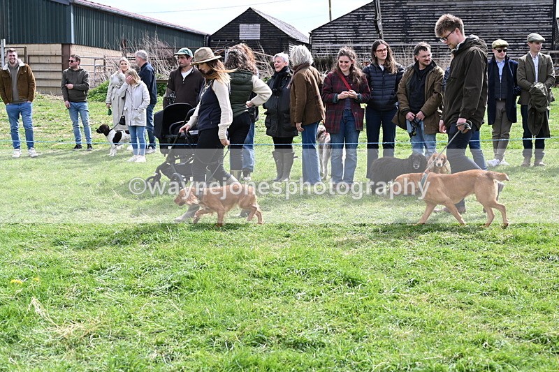 WJ6_8230 - Class 4 Prettiest Bitch