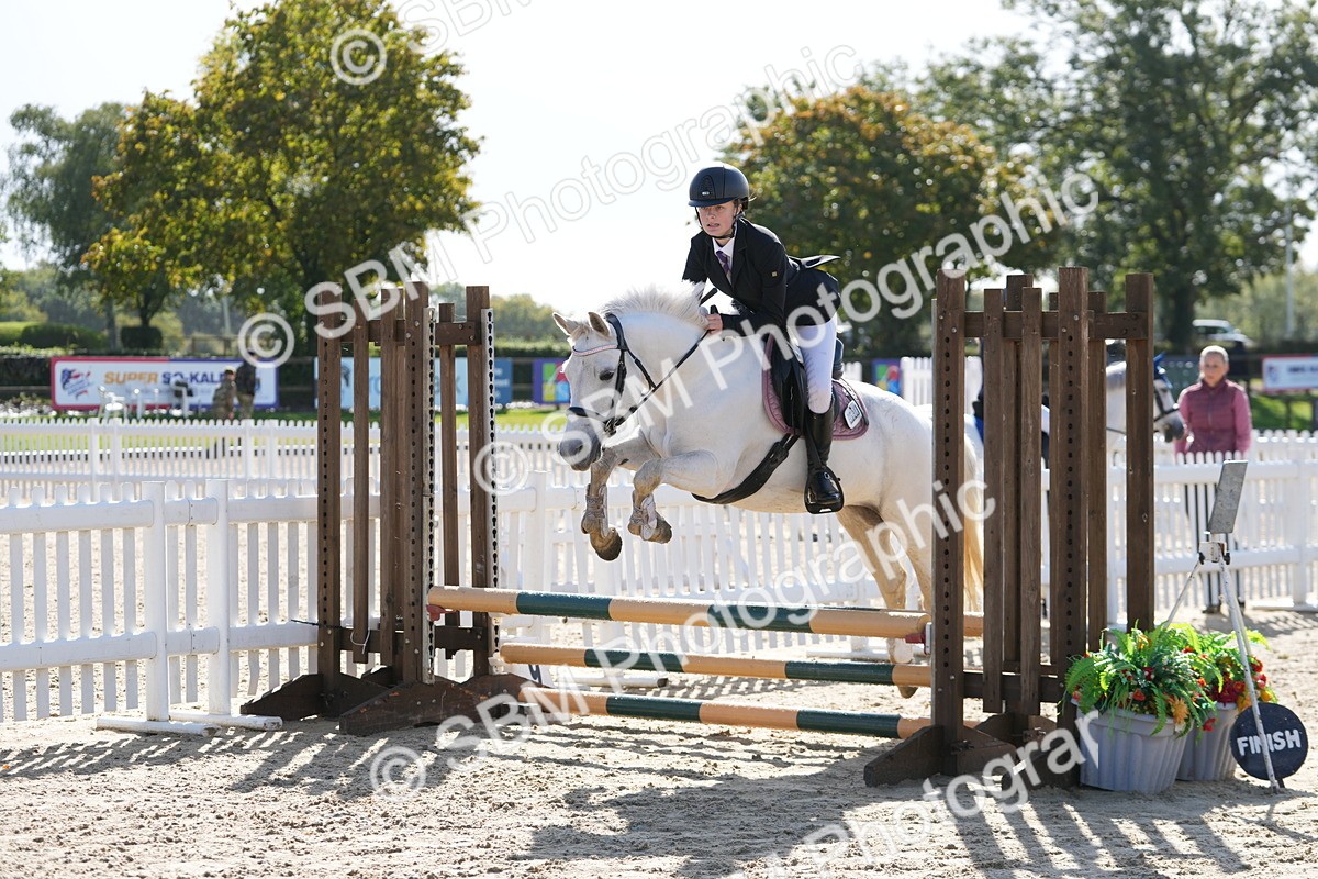 SBM_38401 - J6 - Junior Pony 55cm Championship