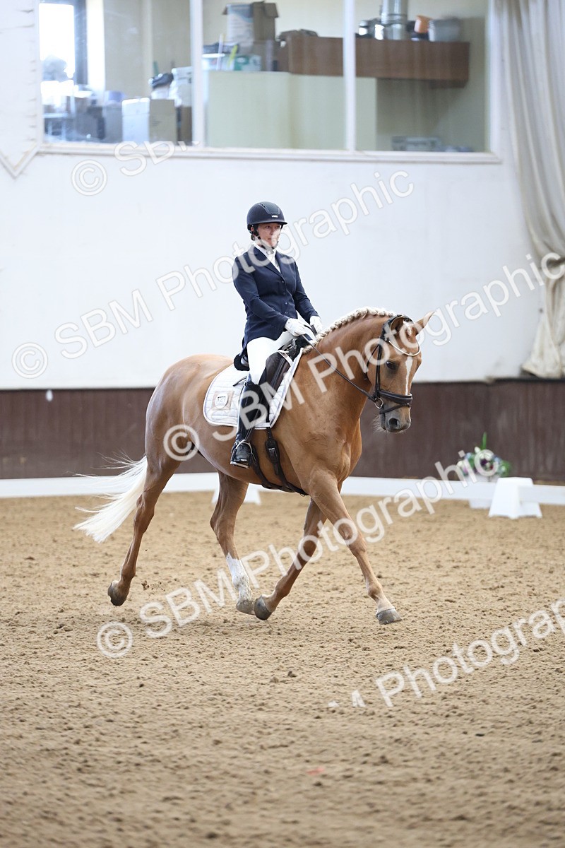 SBM_002061 - Class 5 - Novice 6 Gold - 9.00-10.10