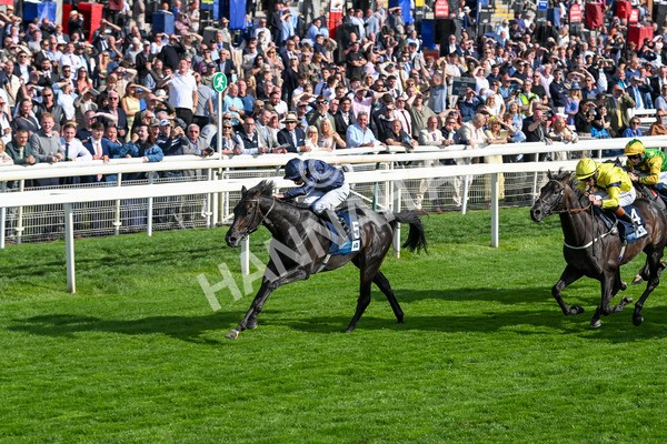 220825-Race 6-Frescobaldi-7763 - Race 6 4.45pm British Stallion Studs EBF Convivial Maiden Stakes