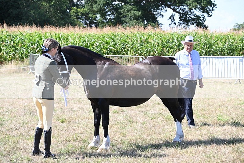WJ6_4866 - Class 17 Mountain & Moorland