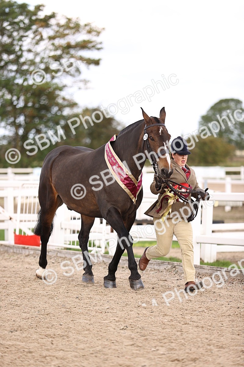 SBM_10406 - Class 405 - IH Show Cob