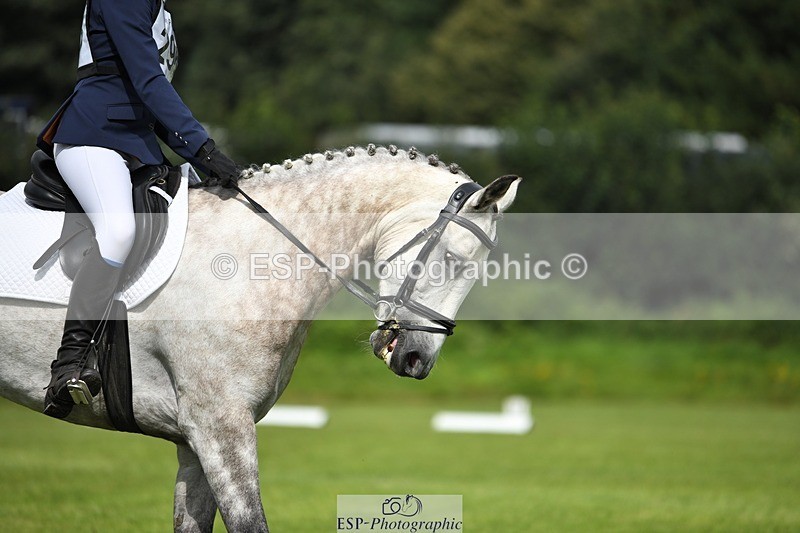 230826-112151-15841 - Sections C & D 10 to End