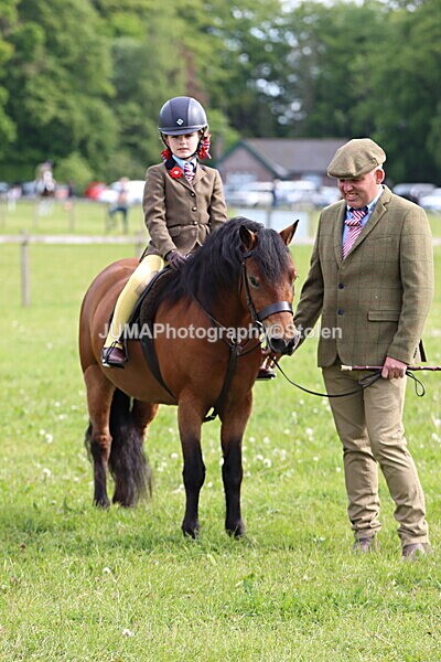 IMG_2220 - Working Hunter