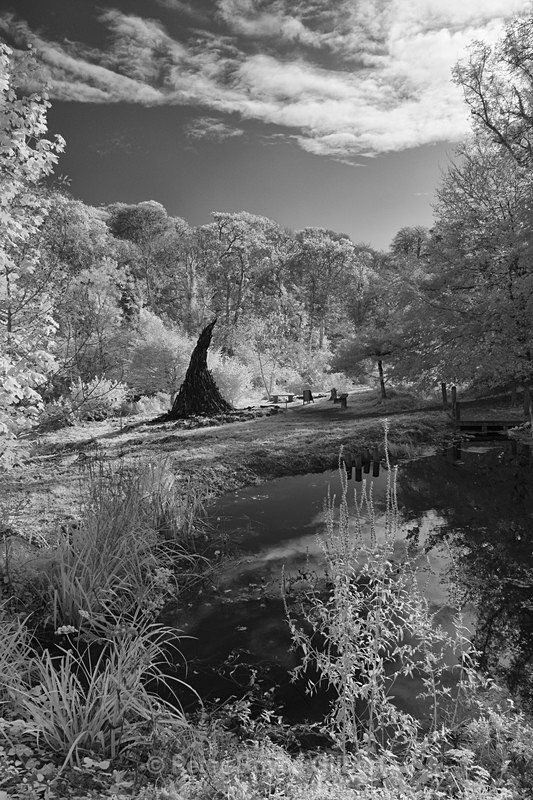 The Witch's Hat, Heligan - Infrared images