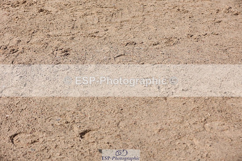 250427-111951-15919 - Cls 36 Young Horse 7yr old