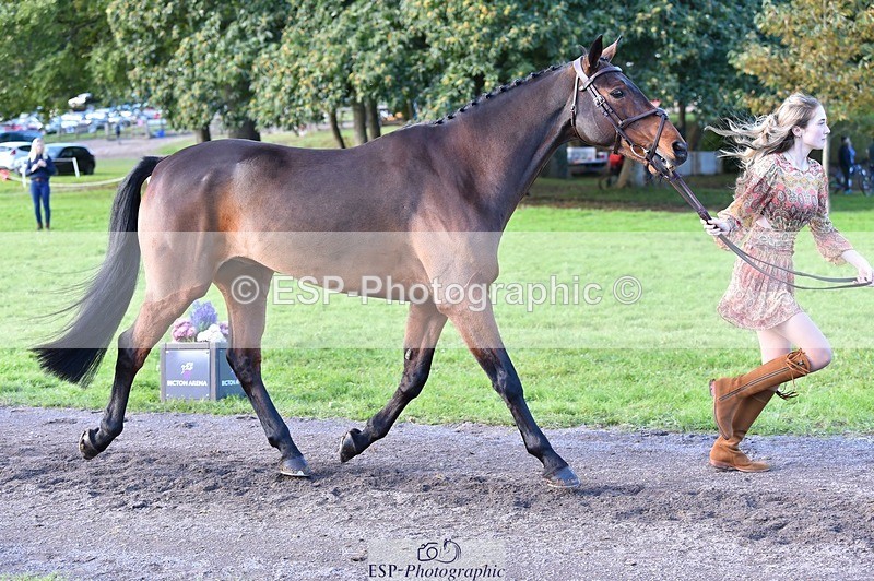 231022-111934-23891 - 552-MONBEG.BY.MAGIC-Xanthe.Baylis-TrotUp+SJ