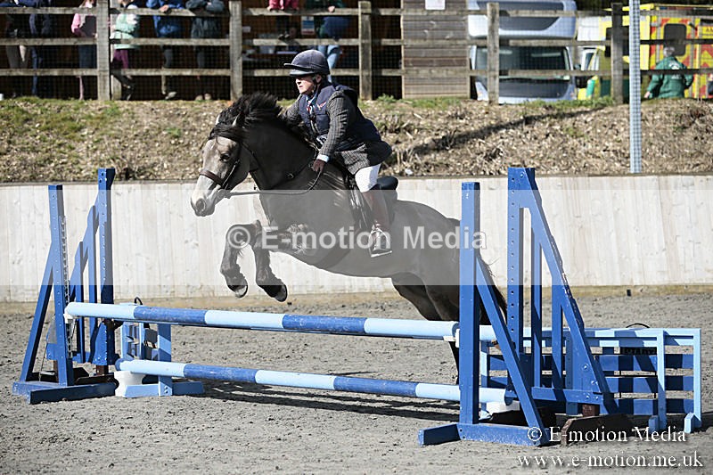 BVRC SJ 170319 196 - Bourne Valley Riding Club Showjumping 17/03/19