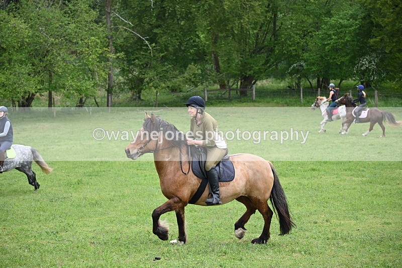 WJ6_3359 - A camera