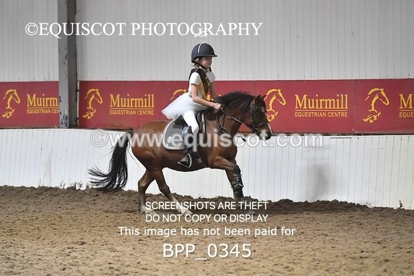 BPP_0345 - CLASS 4 50CM