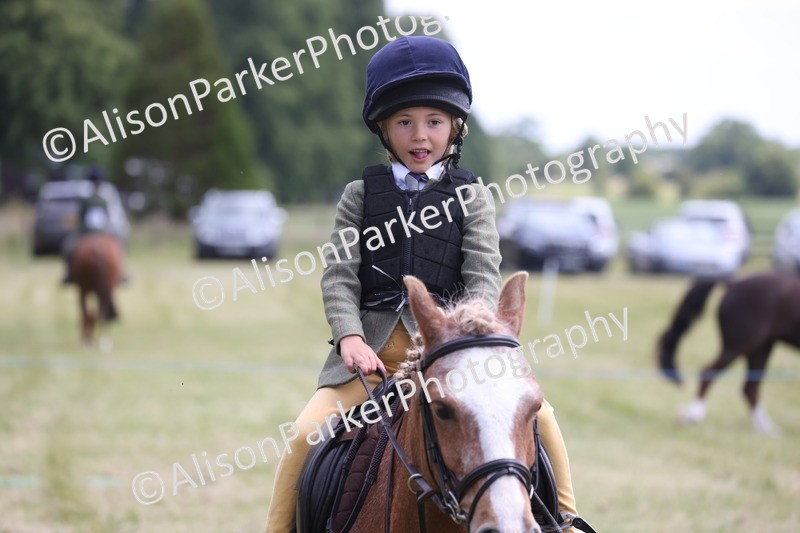 20260614-2059 - Class 21 - Novice Working Hunter Pony