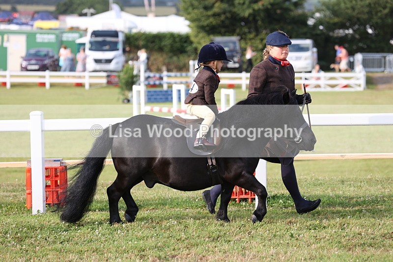 JPP_0291 - Class 14: Cornish Combination Leading Rein