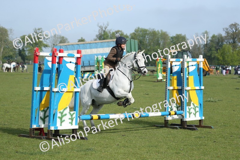 20260426-0116 - Class 13 - Rookie Jumping 50cm