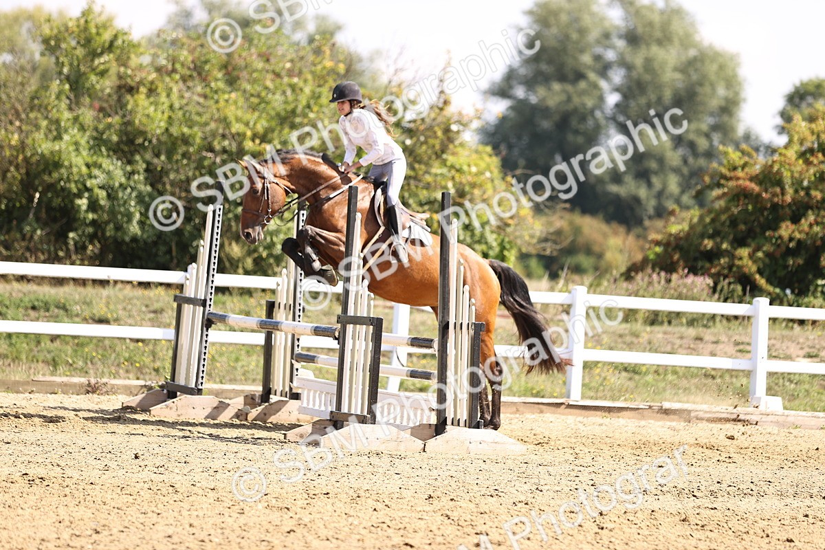 SBM_005892 - Class 9 - Senior British Novice - 90cm
