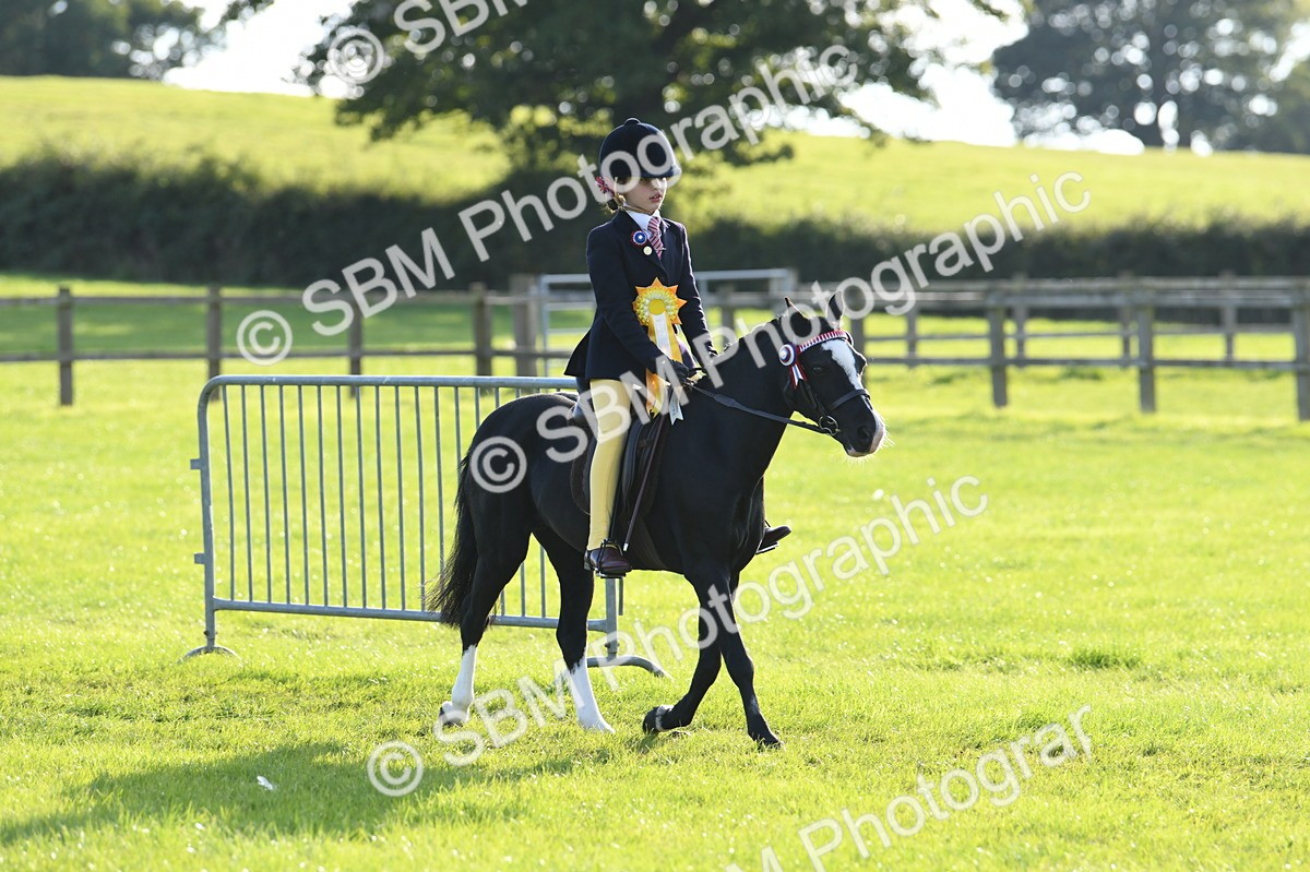 SBM_52467 - S22 - 1st Ridden Show & Show Hunter Pony