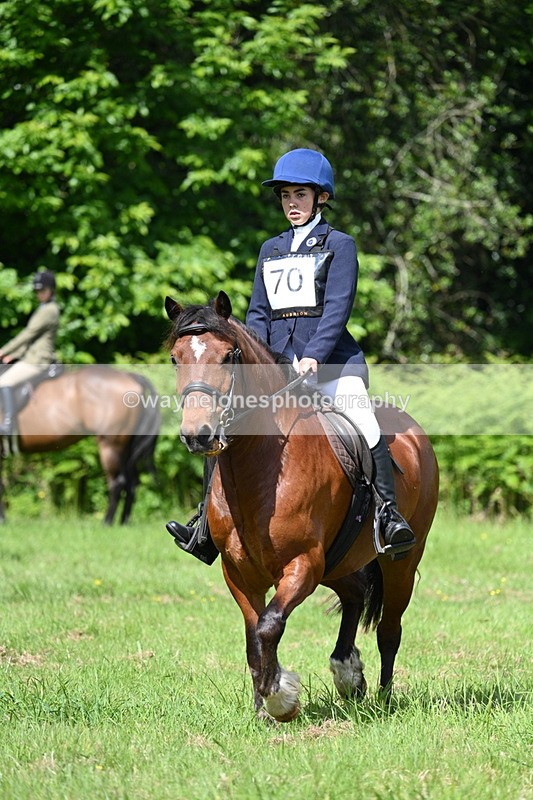 WJ7_1188 - Class 11 Condition & Turnout