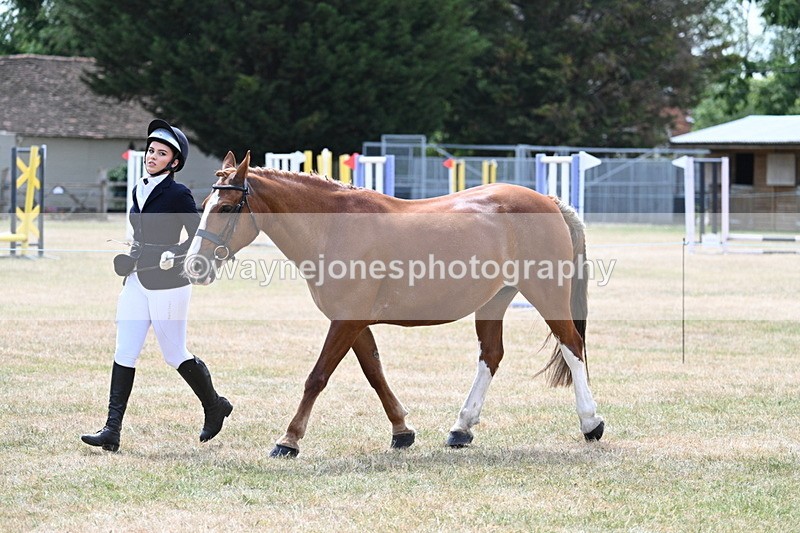 WJ7_1975 - Class 4a Prettiest Mare 14.2hh and over hand