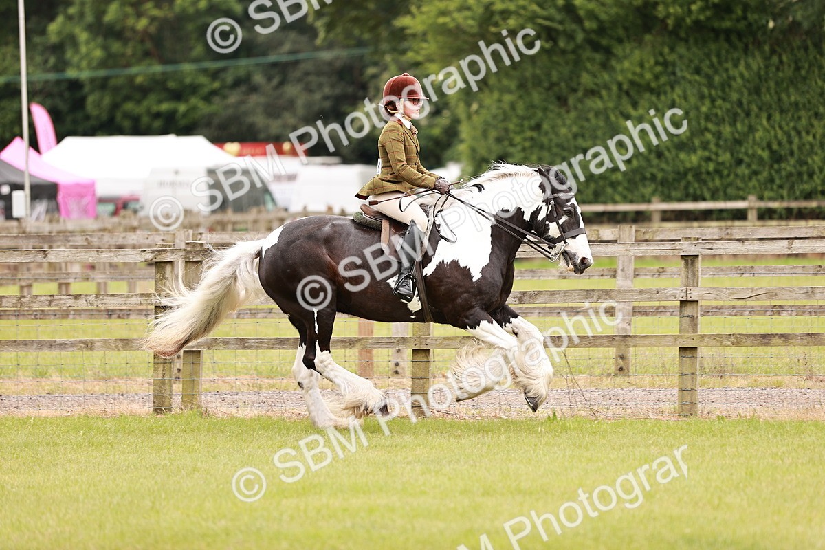 SBM_06215 - Class 39-41 TGCA In Hand and Ridden