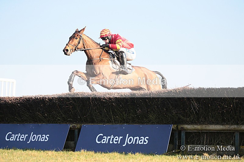 PtP 230219 537 - Vine & Craven Point-To-Point - Barbury 23/02/19