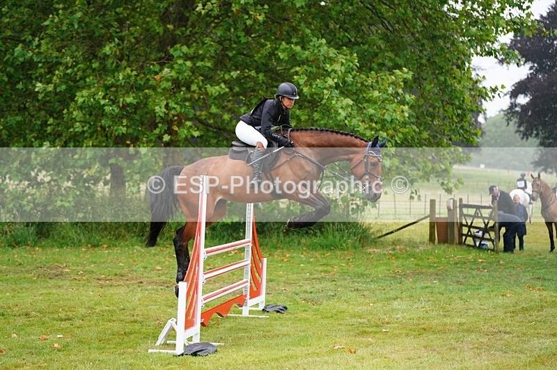 240630X-094226-5227 - 353-Hani_Milstein-COCCINELLE