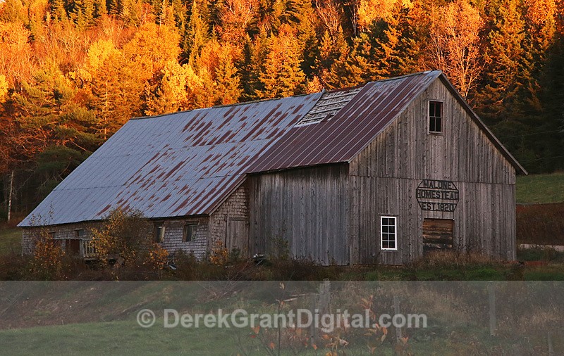 Century Barn Kings County New Brunswick Canada - Old Barns & Buildings
