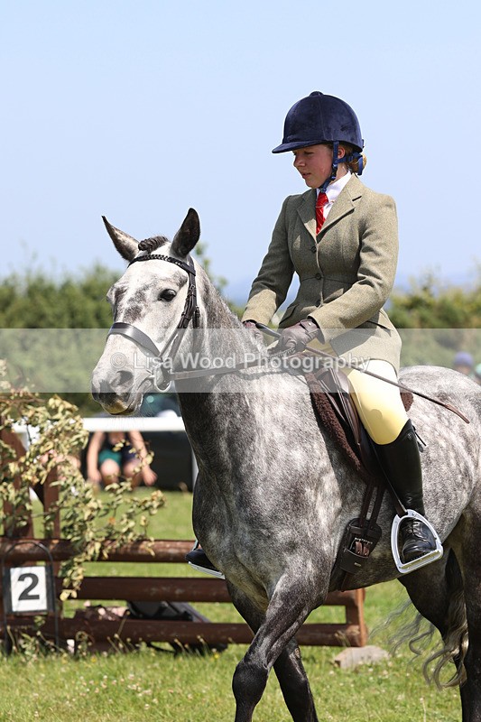 JPP_2458 - Class 21: Working Hunter 60cm