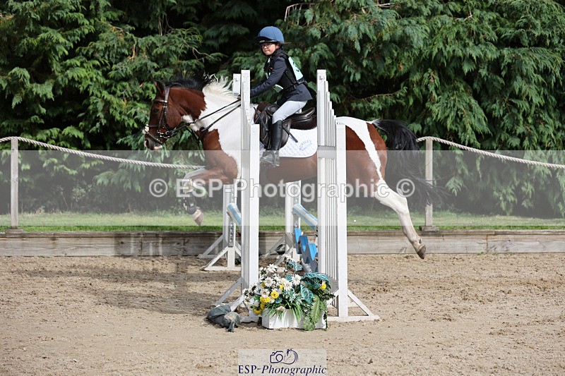 240823X-160041-19472 - 70cm Single Phase All