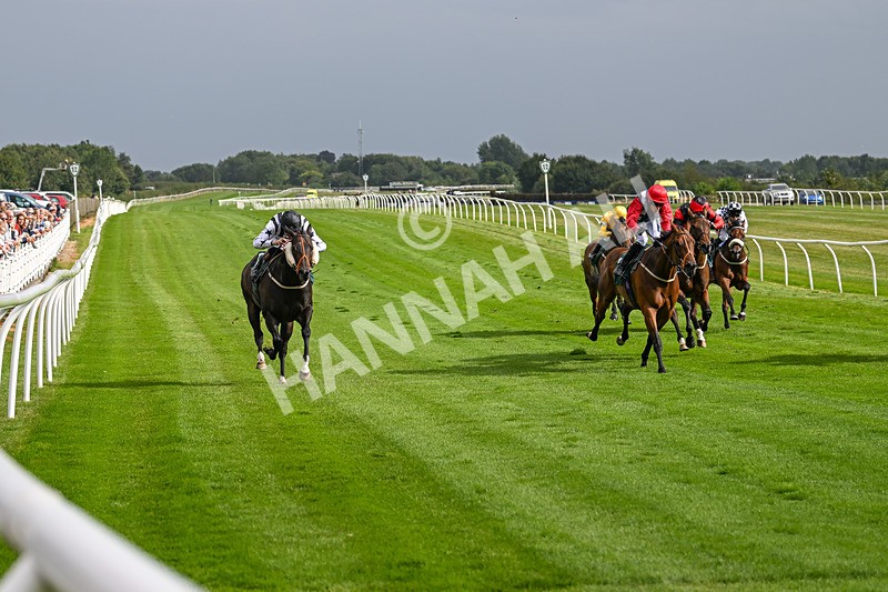 190824-Race 5-Birkenhead-3822 - Race 5