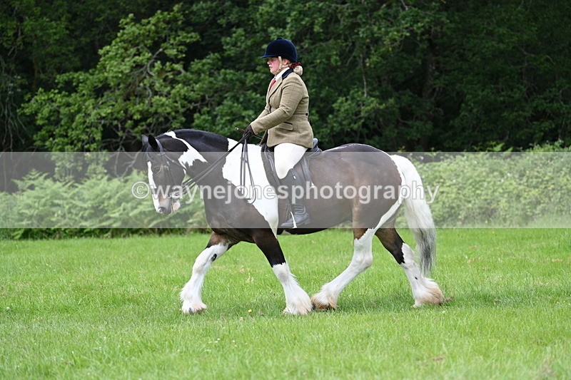 WJ7_2334 - Class 12A Coloured Class
