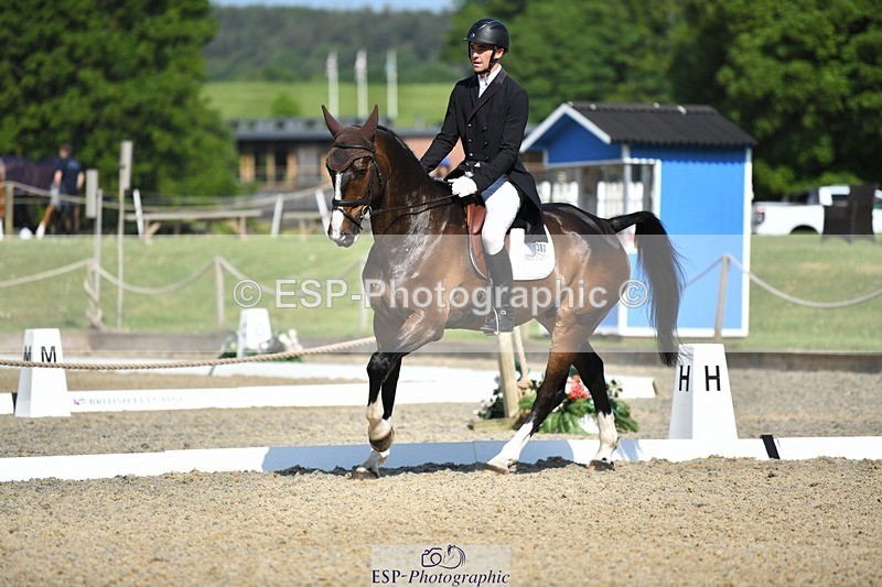 230525-094112-01643 - 307-PENHILLS_CANDY_MAN-Max_Warburton-WEDTrotUp+DR