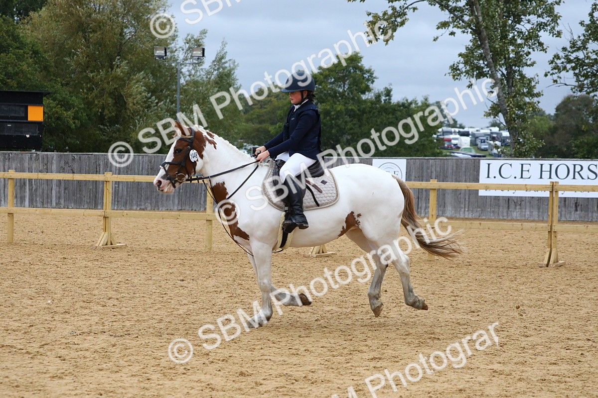 SBM_71967 - J3b - Mini Tour Junior Pony 40cm Championship