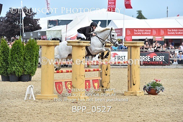 BPP_0527 - RHS 2019 Selection - *Just some random spectator shots so Lucky Dip if you are there!