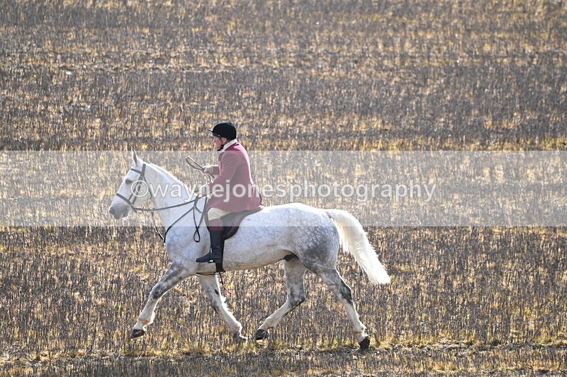 WJ6_8597 - Meet & Line One