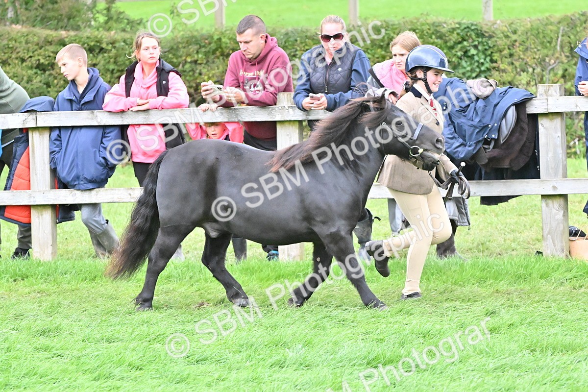 SBM_68545 - S42 - Junior Handler 9-12 Years