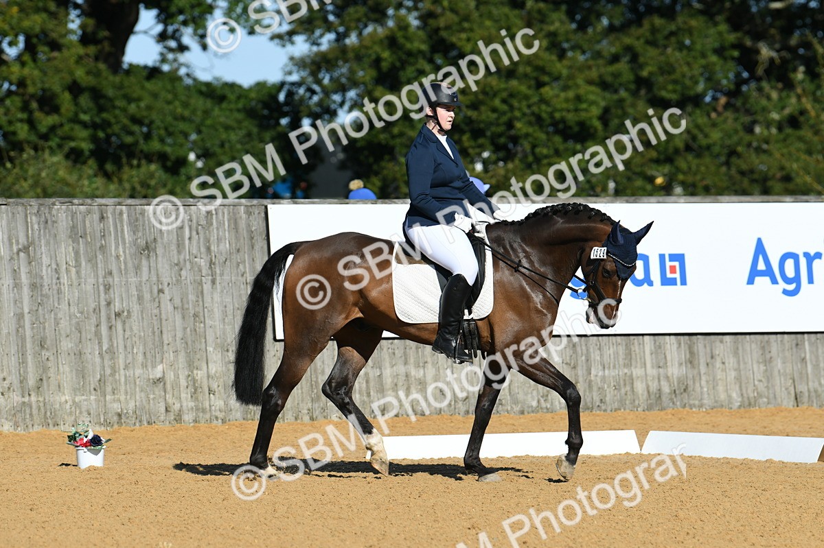 SBM_16162 - D4 - Small Tour Championship - Intro B