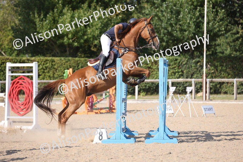 20250810-3489 - Class 7 - 1m