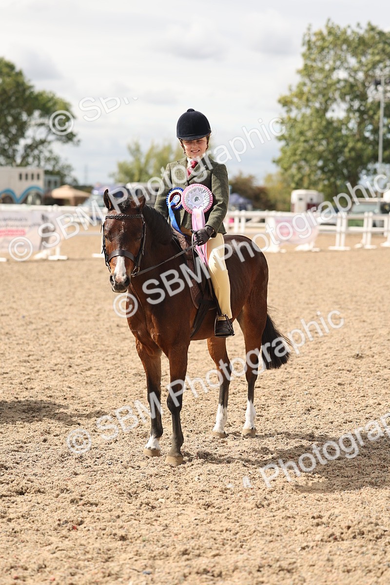 SBM_15925 - Class 310 - First Ridden Pony